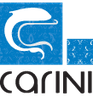 Carini Stores Ltd logo