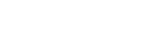 F.lli Raimondo logo